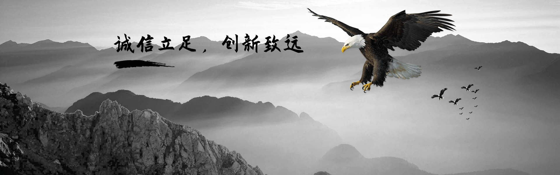 领先的网络代理招生平台-为教育机构注入新的活力