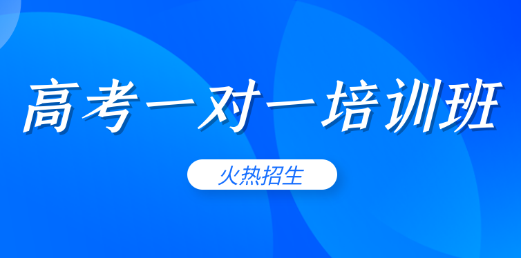 一览上海高考一对一补习机构权威指南-锐思教育