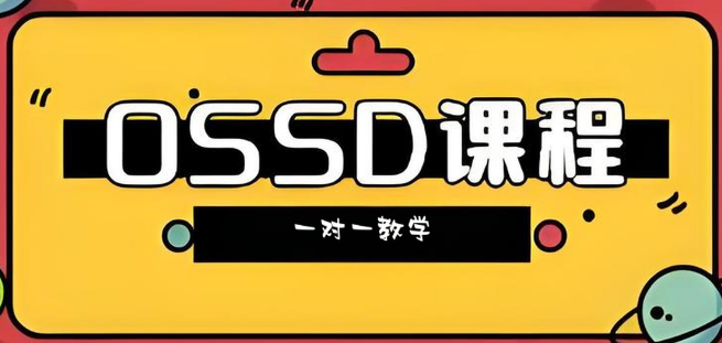杭州市实力强大的OSSD课程一对一教学辅导机构名单前十公布