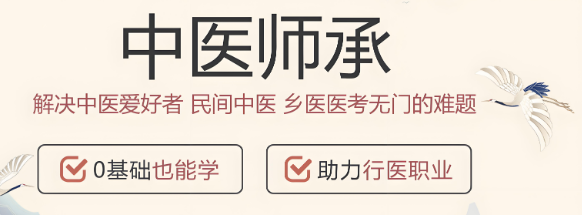 南通知名的十大中医师承培训机构名单排名汇总