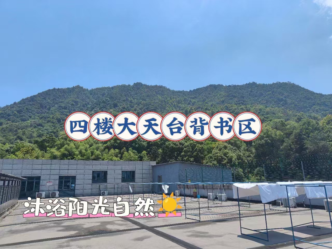 橙啦考研背书区