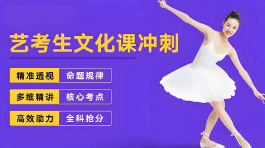 杭州市人气比较好的艺考文化课冲刺辅导学校十大名单一览