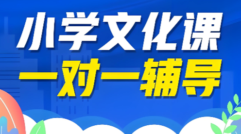 南京市十大绝佳的小学文化课一对一辅导机构名单公布