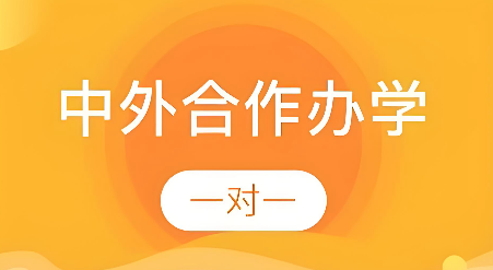 成都市排行榜top10的中外合作办学申请全流程服务机构排名榜首汇总