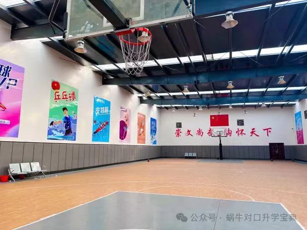 衡水泰华山西校区-篮球场