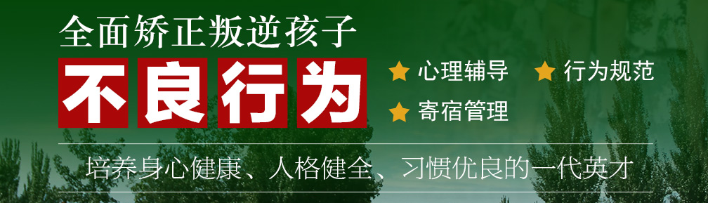 版面图.png undefined